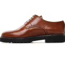 Derbys Brett Sons Harvard Marron