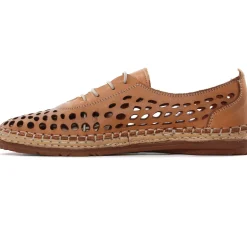 Derbys Scarlatine Pals Camel