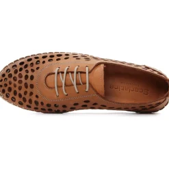Derbys Scarlatine Pals Camel