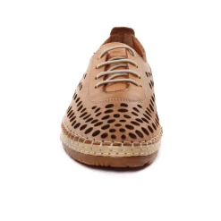 Derbys Scarlatine Pals Camel