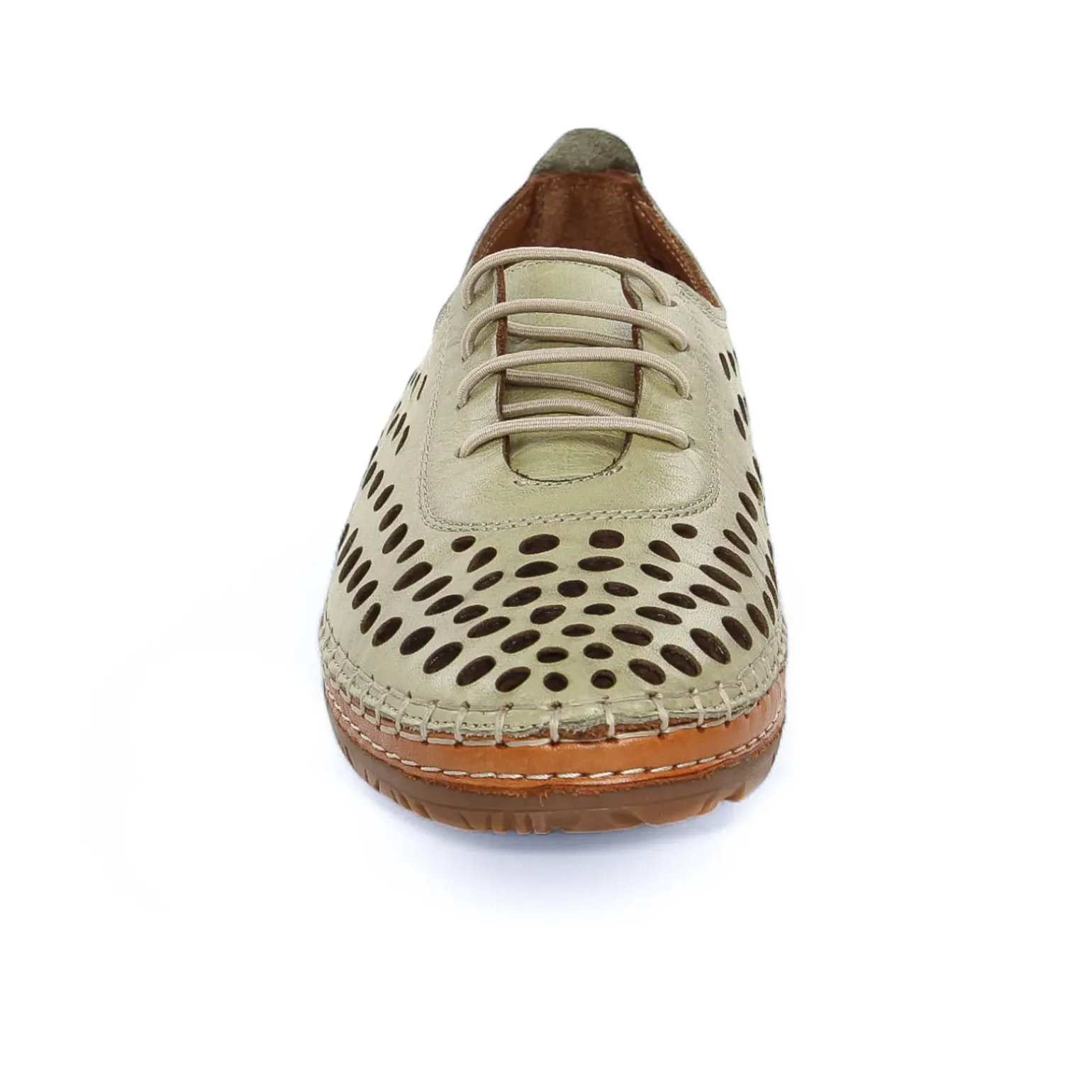 Derbys Scarlatine Pals Kaki