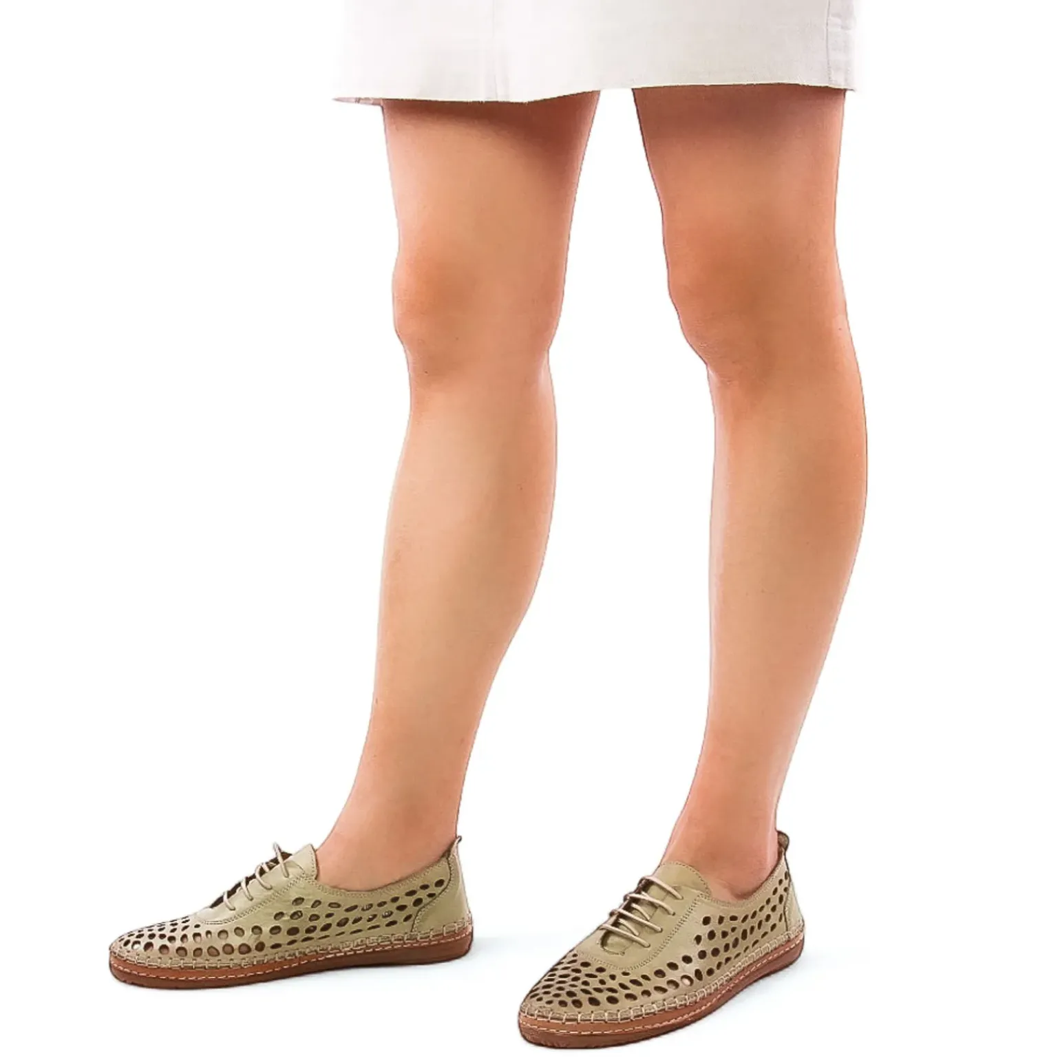 Derbys Scarlatine Pals Kaki