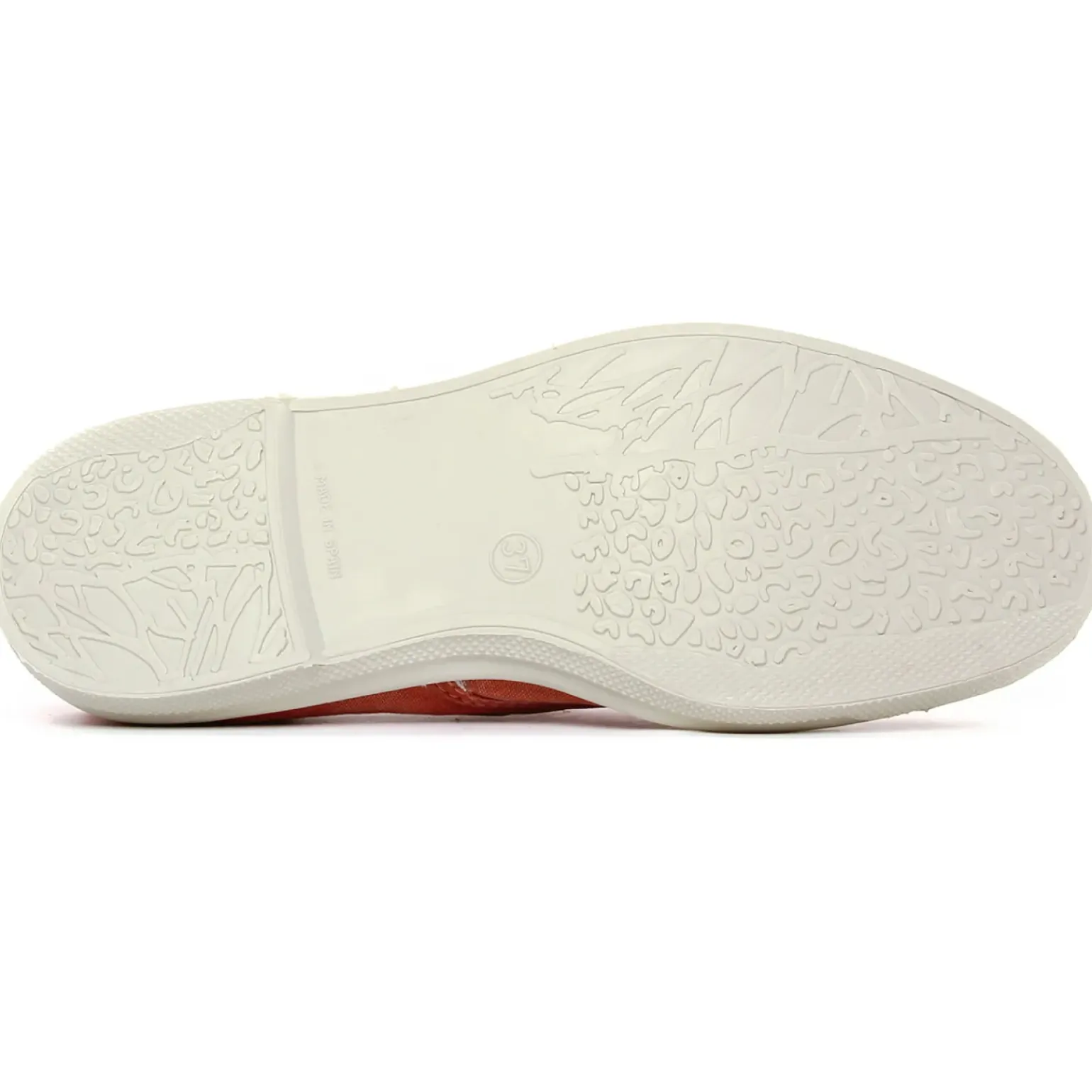 Tennis Toile Natural World 102 E Cangrejo