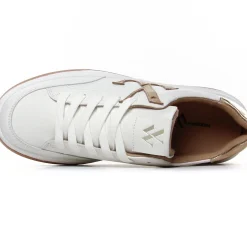 Tennis Vanessa Wu Candice Bk2667 Or
